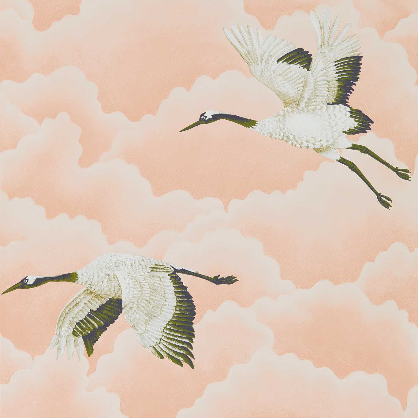 Cranes In Flight  111232